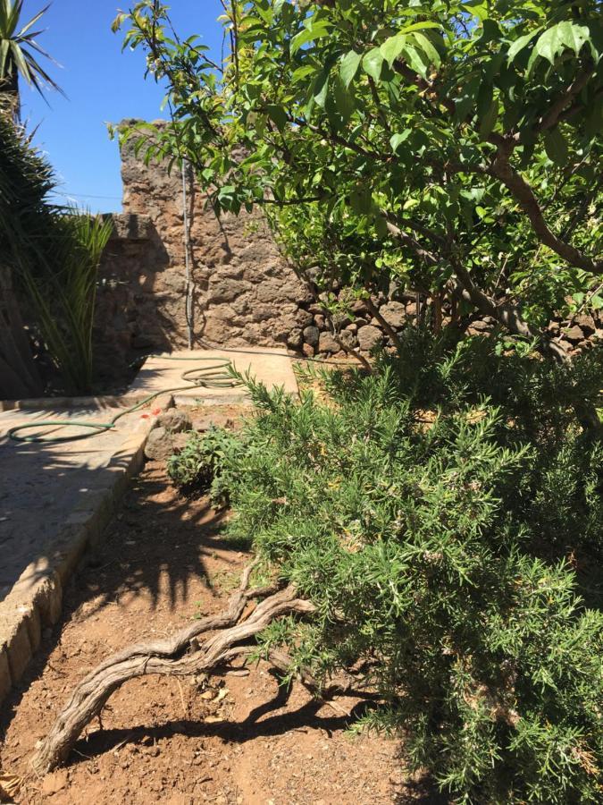 פנטלריה Cactus B&B Le Casette Di Marilena מראה חיצוני תמונה